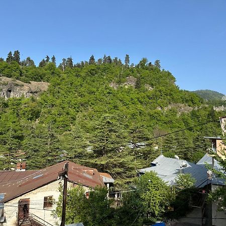 Guest House Nana Borjomi Exterior photo