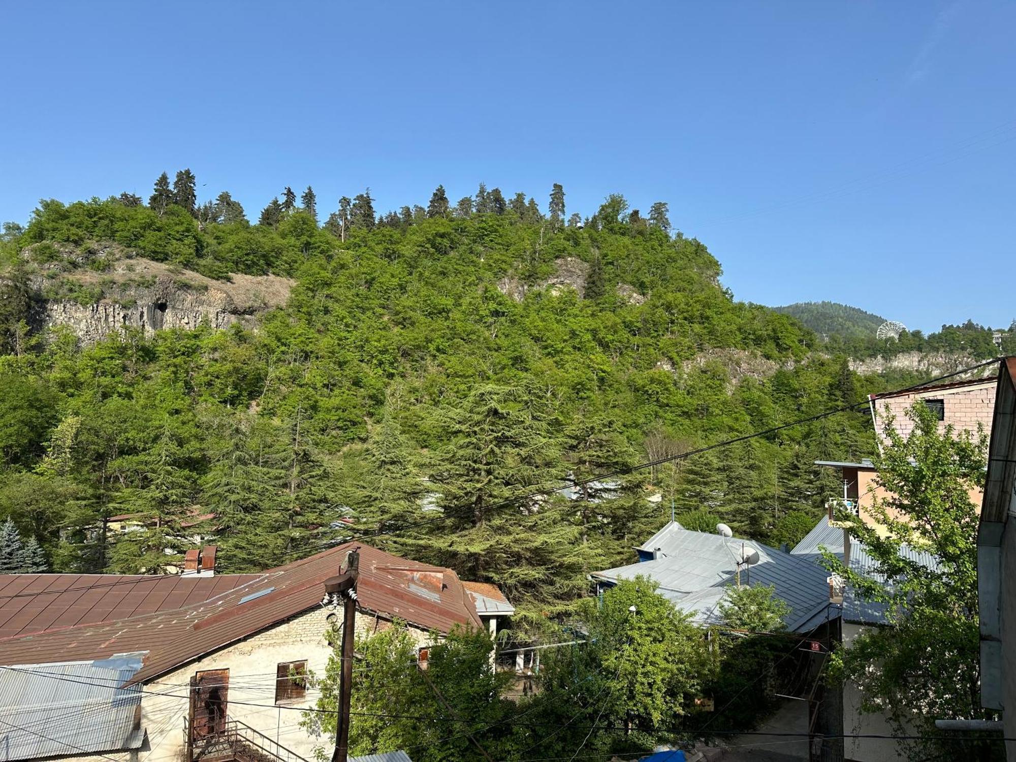 Guest House Nana Borjomi Exterior photo